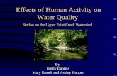 Effects of Human Activity on Water Quality Studies on the Upper Paint Creek Watershed By Emily Daniels Mary Estock and Ashley Hooper.