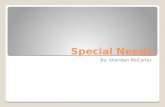 Special Needs By: Sheridan McCarter. Visually Impaired.