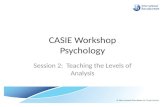 CASIE Workshop Psychology Session 2: Teaching the Levels of Analysis.