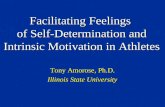 Facilitating Feelings of Self-Determination and Intrinsic Motivation in Athletes Tony Amorose, Ph.D. Illinois State University.