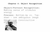 Chapter 4: Object Recognition Object/Pattern Recognition: Making sense of stimulus energy Process: Bottom-Up vs. Top-down – see ambiguous image Direct.