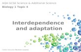AQA GCSE Science & Additional Science Biology 1 Topic 4 Hodder Education Revision Lessons Interdependence and adaptation Click to continue.