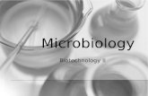 Microbiology Biotechnology II. Let’s review the Basics Gram stain procedure Examples of Gram + and – organisms Terms – Pathogens – Nosocomial – Normal.