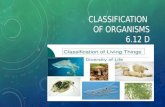 CLASSIFICATION OF ORGANISMS 6.12 D. HOW ARE LIVING ORGANISMS CLASSIFIED? We classify living organisms into a Domain and Kingdom based on the following.