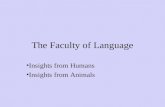 The Faculty of Language Insights from Humans Insights from Animals.