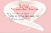 C. elegans and the Pharmaceutical Industry 1.Brief overview of C. elegans. 2. C. elegans as model in biomedical research. 3. C. elegans in the drug development.