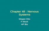 Chapter 48 : Nervous Systems Megan Otto F Block AP Bio.