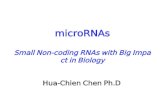 MicroRNAs Small Non-coding RNAs with Big Impact in Biology Hua-Chien Chen Ph.D.
