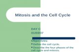 Mitosis and the Cell Cycle DAY C 01/03/07 Objectives: Define the cell cycle. Describe the four phases of the cell cycle and mitosis.