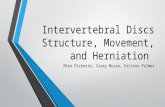 Intervertebral Discs Structure, Movement, and Herniation Mike Pichette, Casey Moran, Kristen Palmer.