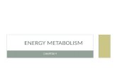 CHAPTER 9 ENERGY METABOLISM. LEARNING OUTCOMES Explain the differences among metabolism, catabolism and anabolism Describe aerobic and anaerobic metabolism.