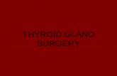 THYROID GLAND SURGERY. THYROID GLAND ANATOMY Detailed Thyroid Anatomy.