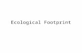 Ecological Footprint. Natural Capital resource production (such as fish, timber or cereals), waste assimilation (such as CO2 absorption or sewage decomposition)