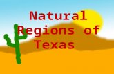 Natural Regions of Texas. 1. Physical Geography – the physical features of the earth’s surface. (What does the earth look like…mountains, plains, oceans,