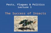 Pests, Plagues & Politics Lecture 1 The Success of Insects.