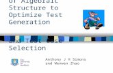 Dynamic Analysis of Algebraic Structure to Optimize Test Generation and Test Case Selection Anthony J H Simons and Wenwen Zhao.