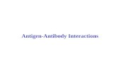 Antigen-Antibody Interactions. Serology - in vitro demonstration of Ag/Ab reaction Ag/Ab reaction = reversible 1. Primary interactions 1) Electrostatic.
