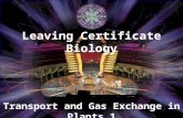 Transport and Gas Exchange in Plants 1 Leaving Certificate Biology.