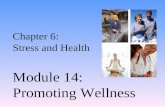 Chapter 6: Stress and Health Module 14: Promoting Wellness.