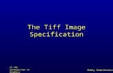Bobby Bodenheimer CS 258 Introduction to Graphics Fall 2003 The Tiff Image Specification.