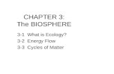 CHAPTER 3: The BIOSPHERE 3-1 What is Ecology? 3-2 Energy Flow 3-3 Cycles of Matter.