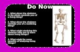 Do Now 1. What about the skeleton in the photo reminds you of a living thing? 2. What about the skeleton reminds you of a nonliving thing? 3. What might.