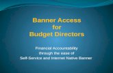 Financial Accountability through the ease of Self-Service and Internet Native Banner.
