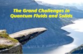 The Grand Challenges in Quantum Fluids and Solids.