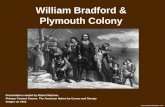William Bradford & Plymouth Colony Presentation created by Robert Martinez Primary Content Source: The American Nation by Carnes and Garraty Images as.