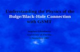 Understanding the Physics of the Bulge/Black-Hole Connection with GSMT Stephen Eikenberry University of Florida 3 November 2007.