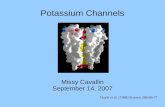 Doyle et al. (1998) Science 280:69-77 Missy Cavallin September 14, 2007 Potassium Channels.