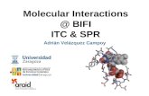 Molecular Interactions @ BIFI ITC & SPR Adrián Velázquez Campoy.