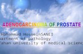 1 DR Mohammad HosseinSANEI Department of pathology Isfahan university of medical science.