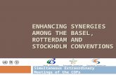 ENHANCING SYNERGIES AMONG THE BASEL, ROTTERDAM AND STOCKHOLM CONVENTIONS Simultaneous Extraordinary Meetings of the COPs Basel ConventionRotterdam ConventionStockholm.
