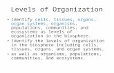 Levels of Organization Identify cells, tissues, organs, organ systems, organisms, populations, communities, and ecosystems as levels of organization in.