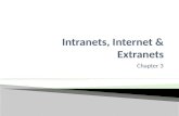 Chapter 3.  The characteristics and purpose of: ◦ Intranets ◦ Internet ◦ Extranets.