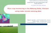 Rice crop monitoring in the Mekong Delta, Vietnam using radar remote sensing data Nguyen Lam-Dao â€“ GIRS/HCMIRG/VAST, Vietnam Thuy Le-Toan â€“ CESBIO/CNRS,