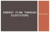 Spring 2012 ENERGY FLOW THROUGH ECOSYSTEMS.  All organisms MUST obtain and use energy… ENERGY FLOW THROUGH ECOSYSTEMS.