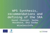 WP5 Synthesis, recommendations and defining of the SRA Karel Charvat, Sarka Horakova, Ota Cerba WirelessInfo.
