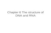 Chapter 6 The structure of DNA and RNA. DNA is composed of polynucleotide chain: the helical structure of DNA.