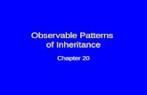 Observable Patterns of Inheritance Chapter 20. Earlobe Variations If you have attached earlobes, you inherited two copies of the recessive allele If you.