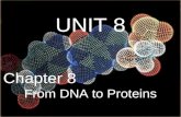 UNIT 8 Chapter 8 From DNA to Proteins. UNIT 3: INTRODUCING BIOLOGY Chapter 8: From DNA to Proteins I. Identifying DNA as the Genetic Material (8.1)