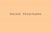 Social Structures. Social Structure  Social Structure is the different statuses and roles that make up the guidelines for human interaction.  Other.