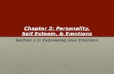 Chapter 2: Personality, Self Esteem, & Emotions Section 2.3: Expressing your Emotions.