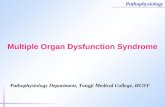 Pathophysiology Multiple Organ Dysfunction Syndrome Pathophysiology Department, Tongji Medical College, HUST.