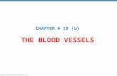 Copyright © 2010 Pearson Education, Inc. THE BLOOD VESSELS CHAPTER # 19 (b)