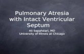 Pulmonary Atresia with Intact Ventricular Septum Ali Sepahdari, MD University of Illinois at Chicago.
