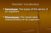 Genetic Vocabulary Genotype: The types of the genes of an organism Genotype: The types of the genes of an organism Phenotype: The observable characteristics.