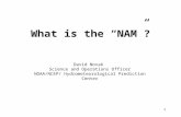 1 What is the “NAM”? David Novak Science and Operations Officer NOAA/NCEP/ Hydrometeorological Prediction Center.