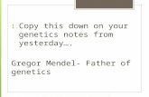 1. Copy this down on your genetics notes from yesterday…. Gregor Mendel- Father of genetics.
